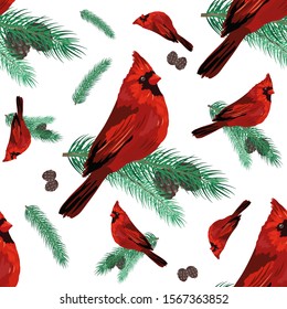 Cardinal bird sitting on fir-tree branch. Winter holidays theme illustration. Vector seamless pattern