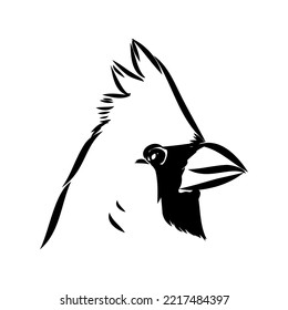 Cardinal bird sketch, vector illustration. Hand drawn red cardinal bird. Engraved illustration. Cardinal bird sitting on a branch. Hand drawn sketch.