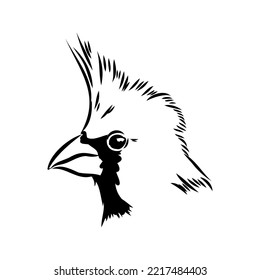 Cardinal bird sketch, vector illustration. Hand drawn red cardinal bird. Engraved illustration. Cardinal bird sitting on a branch. Hand drawn sketch.