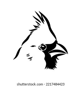 Esbozo cardinal de aves, ilustración vectorial. Pájaro cardinal rojo dibujado a mano. Ilustración grabada. Pájaro cardenal sentado en una rama. Esbozo dibujado a mano.