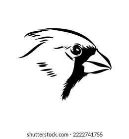 Cardinal bird sketch, vector illustration. Hand drawn red cardinal bird. Engraved illustration. Cardinal bird sitting on a branch. Hand drawn sketch.