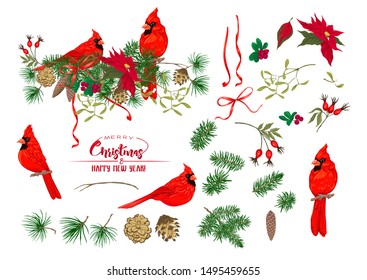 Cardinal bird - a symbol of Christmas. Christmas wreath of spruce, pine, poinsettia, fir. Set of elements for design Colored vector illustration. Isolated on white background.	