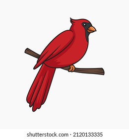Cardinal Bird Vector Cartoon Illustration Clipart