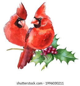 Cardinal birds - a symbol of Christmas.  Can be used as a postcard, cover background, or for a web message. Vector illustration.