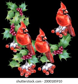 Cardinal birds are a symbol of Christmas. Can be used as a postcard, cover background, or for a web message. Vector illustration in a watercolor style.