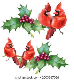 Cardinal birds - a symbol of Christmas.  Can be used as a postcard, cover background, or for a web message. Vector illustration in watercolor style