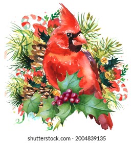 Cardinal birds are a symbol of Christmas. Can be used as a postcard, cover background, or for a web message. Vector illustration in a watercolor style.