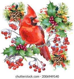 Cardinal birds are a symbol of Christmas. Can be used as a postcard, cover background, or for a web message. Vector illustration in a watercolor style.