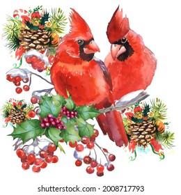 Cardinal birds are a symbol of Christmas. Can be used as a postcard, cover background, or for a web message. Vector illustration in a watercolor style.
