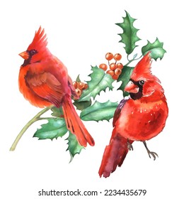 Cardinal birds are a symbol of Christmas. Can be used as a postcard, cover background, or for a web message. Vector illustration in a watercolor style. Seamless Pattern.