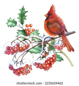 Cardinal birds are a symbol of Christmas. Can be used as a postcard, cover background, or for a web message. Vector illustration in a watercolor style. Seamless Pattern.