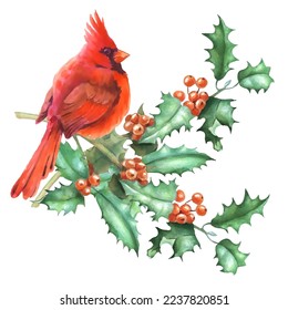 Cardinal birds are a symbol of Christmas. Can be used as a postcard, cover background, or for a web message. Vector illustration in a watercolor style.