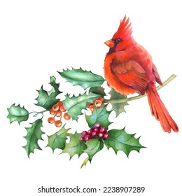 Cardinal birds are a symbol of Christmas. Can be used as a postcard, cover background, or for a web message. Vector illustration in a watercolor style. Seamless Pattern.
