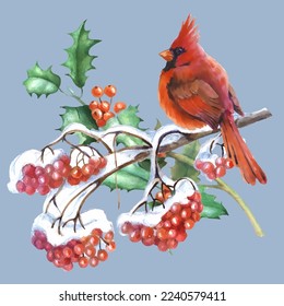 Cardinal birds are a symbol of Christmas. Can be used as a postcard, cover background, or for a web message. Vector illustration in a watercolor style. 