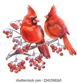 Cardinal birds are a symbol of Christmas. Can be used as a postcard, cover background, or for a web message. Vector illustration in a watercolor style. Seamless Pattern.
