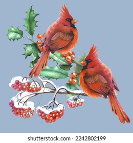Cardinal birds are a symbol of Christmas. Can be used as a postcard, cover background, or for a web message. Vector illustration in a watercolor style.