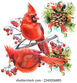 Cardinal birds are a symbol of Christmas. Can be used as a postcard, cover background, or for a web message. Vector illustration in a watercolor style.