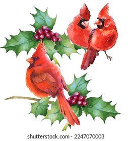Cardinal birds are a symbol of Christmas. Can be used as a postcard, cover background, or for a web message. Vector illustration in a watercolor style. 