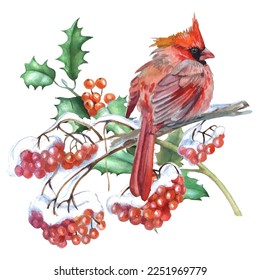 Cardinal birds are a symbol of Christmas. Can be used as a postcard, cover background, or for a web message. Vector illustration in a watercolor style. Seamless Pattern.
