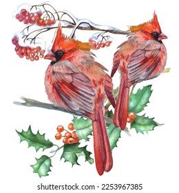 Cardinal birds are a symbol of Christmas. Can be used as a postcard, cover background, or for a web message. Vector illustration in a watercolor style.