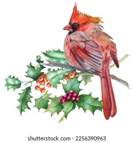 Cardinal birds are a symbol of Christmas. Can be used as a postcard, cover background, or for a web message. Vector illustration in a watercolor style.