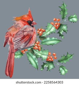 Cardinal birds are a symbol of Christmas. Can be used as a postcard, cover background, or for a web message. Vector illustration in a watercolor style.