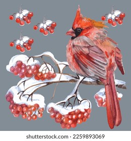 Cardinal birds are a symbol of Christmas. Can be used as a postcard, cover background, or for a web message. Vector illustration in a watercolor style. Seamless Pattern.
