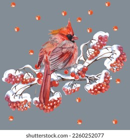 Cardinal birds are a symbol of Christmas. Can be used as a postcard, cover background, or for a web message. Vector illustration in a watercolor style. Seamless Pattern.

