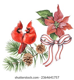 Cardinal birds are a symbol of Christmas. Can be used as a postcard, cover background, or for a web message. Vector illustration in a watercolor style.