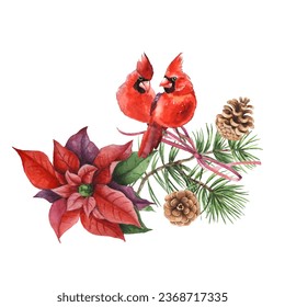 Cardinal birds are a symbol of Christmas. Can be used as a postcard, cover background, or for a web message. Vector illustration in a watercolor style.