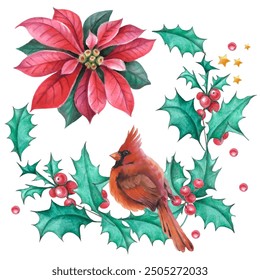 Cardinal birds are a symbol of Christmas. Can be used as a postcard, cover background, or for a web message. Vector illustration in a watercolor style.