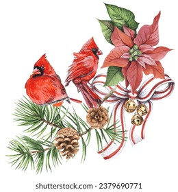 Cardinal birds - a symbol of Christmas, ripe red pomegranate . Set of design elements isolated on white background. Vector illustration in a watercolor style.