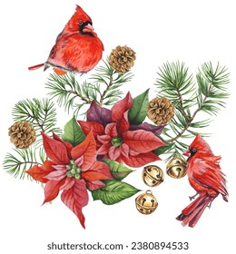 Cardinal birds - a symbol of Christmas, ripe red pomegranate . Set of design elements isolated on white background. Vector illustration in a watercolor style.