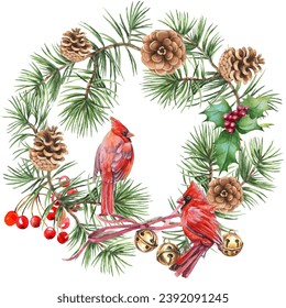 Cardinal birds - a symbol of Christmas, ripe red pomegranate . Set of design elements isolated on white background. Vector illustration in a watercolor style.
