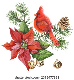 Cardinal birds - a symbol of Christmas, ripe red pomegranate . Set of design elements isolated on white background. Vector illustration in a watercolor style.
