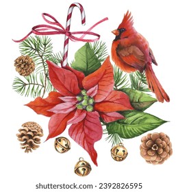 Cardinal birds - a symbol of Christmas, ripe red pomegranate . Set of design elements isolated on white background. Vector illustration in a watercolor style.
