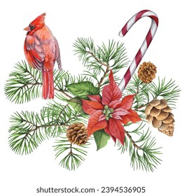 Cardinal birds - a symbol of Christmas, ripe red pomegranate . Set of design elements isolated on white background. Vector illustration in a watercolor style.
