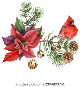 Cardinal birds - a symbol of Christmas, ripe red pomegranate . Set of design elements isolated on white background. Vector illustration in a watercolor style.
