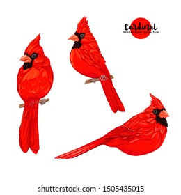 32,490 Cardinal birds Images, Stock Photos & Vectors | Shutterstock