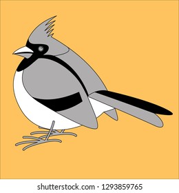 cardinal bird,vector illustration,lining draw , profile side