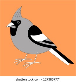 cardinal bird,vector illustration,lining draw , profile side