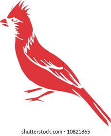 Cardinal color