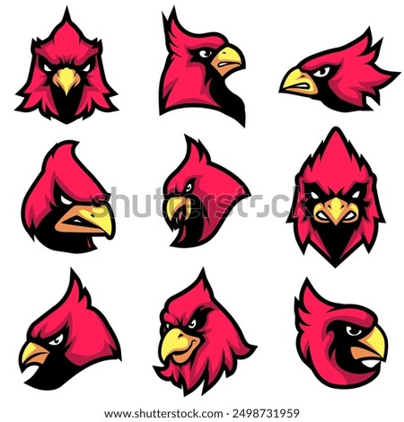 Cardinal head Mascot Vector Logo Bundle