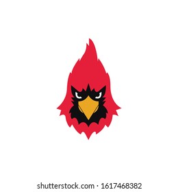 Cardinal mascot vector on a white background