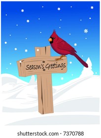 Cardinal resting on Season Greetings sign