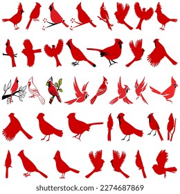 cardinal silhouette, a bird of the family of finches, Red cardinal vector,  silhouette on a white background, vector illustration
