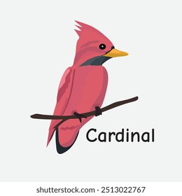 Cardinal Vector Illustration: Bright Winter Bird Nature Design