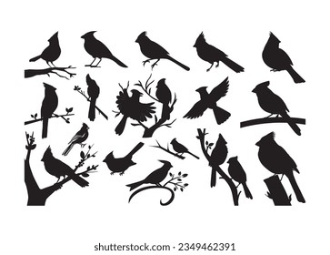 Cardinal Vector For Print, Cardinal Clipart, Cardinal vector Illustration