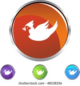 Cardinal web button isolated on a background