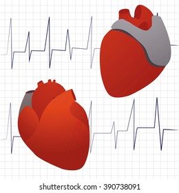 Cardiogram with two anatomical hearts